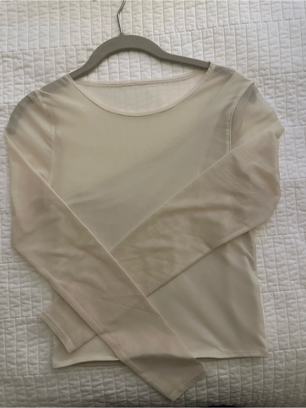 Sheer Long-Sleeve Crew Neck Top- Cream